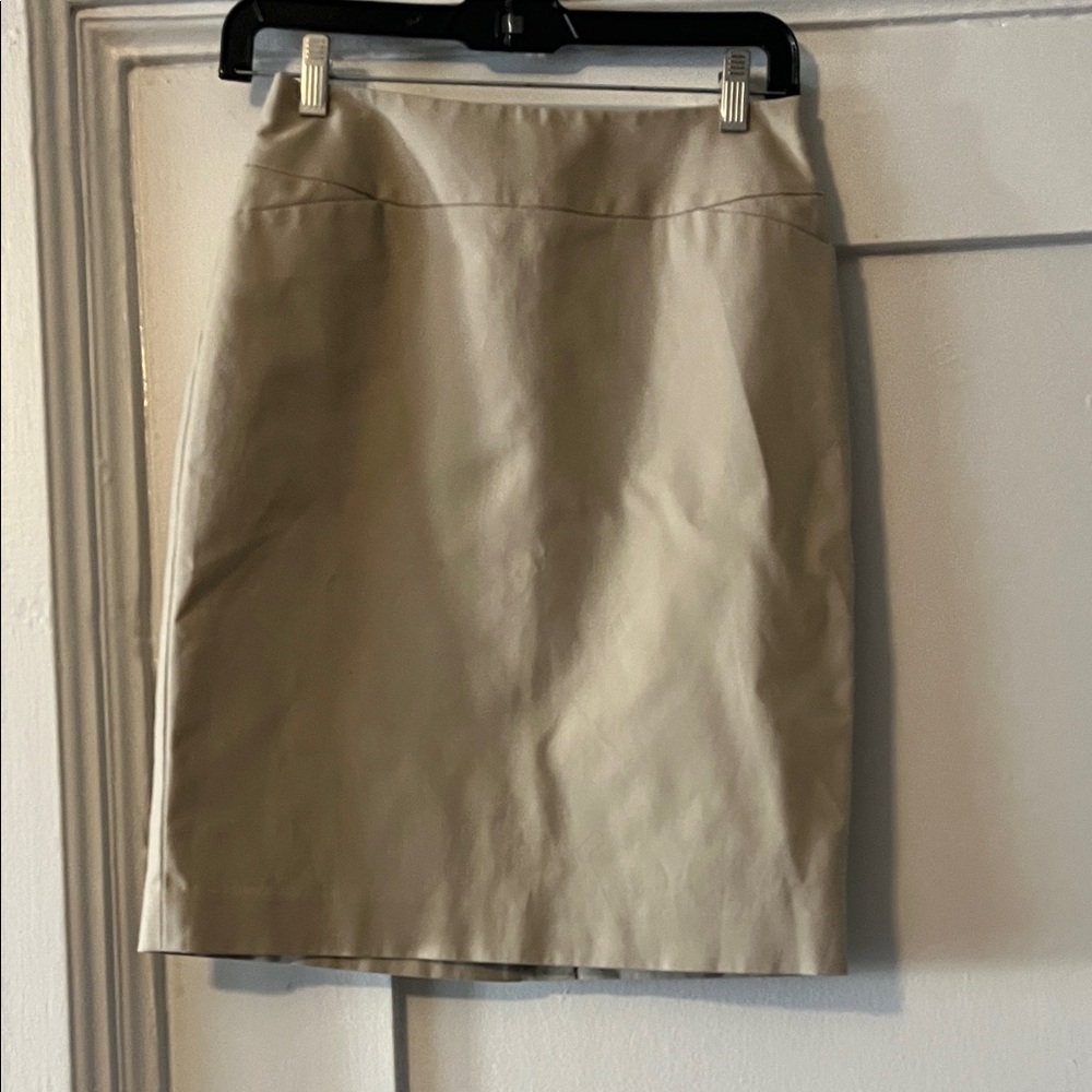 Halogen Elegant Tan Women's Skirt